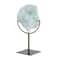 12" Light Blue Polystone Coral Textured Sculpture with Bronze Stand
